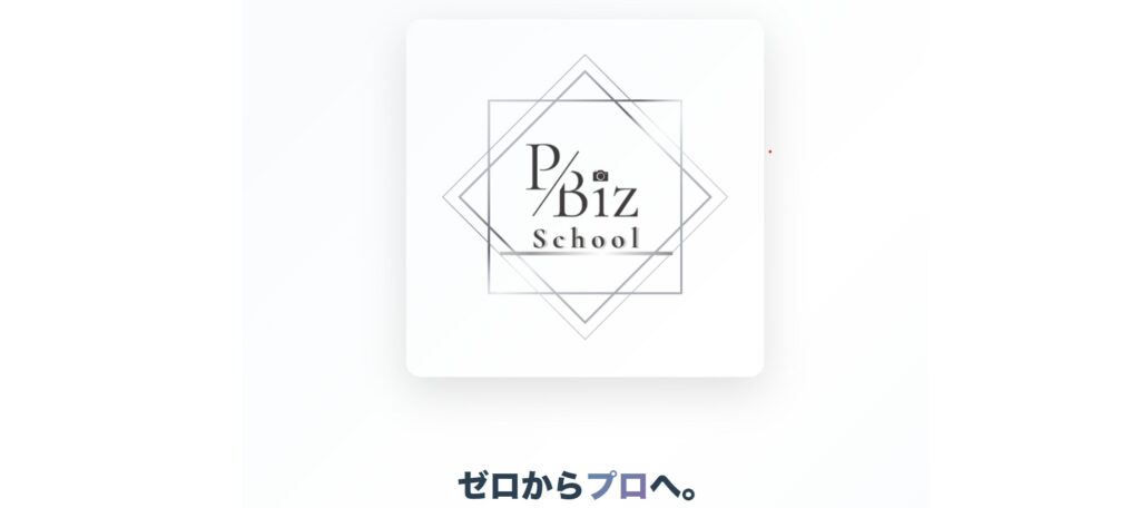 PhotoBizSchoolZero